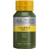 Galeria 447 Olive Green - 500 ml