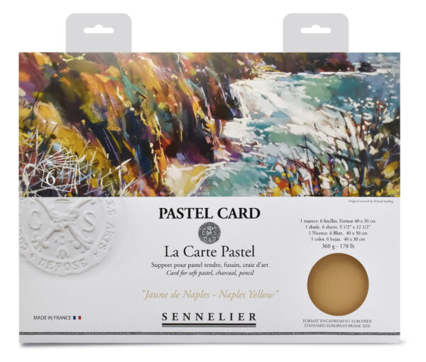 Sennelier Pastel Card pack - 6 sheets 40x30cm - Monochrome Yellow Naples