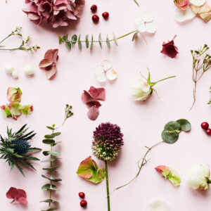 Pink Flower af Camilla Schmidt Illux Art shop - Illux Art nyheder - Fotokunst - Camilla Schmidt