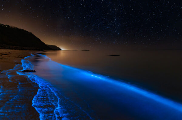Bioluminescence at the danish coastline af Daniel Faisst Daniel Faisst