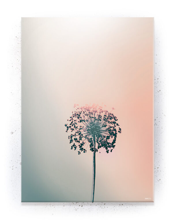 Plakat / Canvas / Akustik: Allium blomst (Empowerment) Artworks > Beautiful