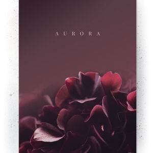 Plakat / Canvas / Akustik: Aurora (Withered) Plakater > Natur plakater