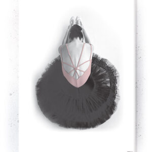 Plakat / Canvas / Akustik: Ballerina II (Flush Pink) Artworks > Populær