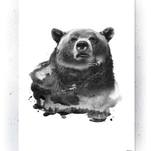 Plakat / Canvas / Akustik: Bjørn 1 (Animals) Plakater > Sort / Hvid plakater