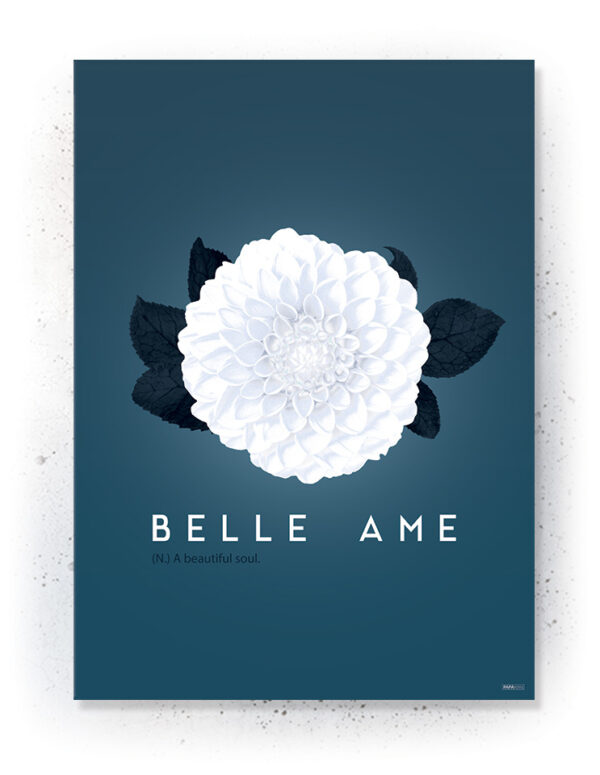 Plakat / Canvas / Akustik: Belle Ame (Indigo) Artworks > Populær