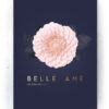 Plakat / canvas / akustik: Belle Ame (MIDSOMMER) Artworks > Beautiful