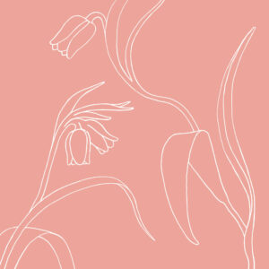 Klokkeblomst rosa af Ten Valleys Illux Art shop - Illux Art nyheder - Ten Valleys