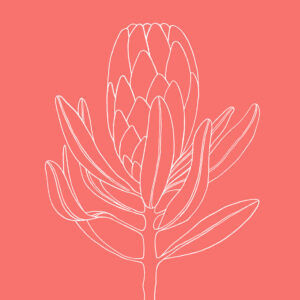 Blomst koral af Ten Valleys Illux Art shop - Illux Art nyheder - Grafisk kunst - Ten Valleys