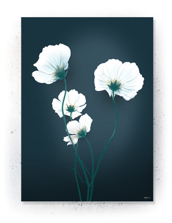 Plakater / Canvas / Akustik: Blå valmue blomst (Eclectic) Artworks > Nyheder