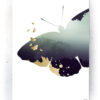 Plakat / canvas / akustik: Sommerfugle (Fall) Artworks > Populær
