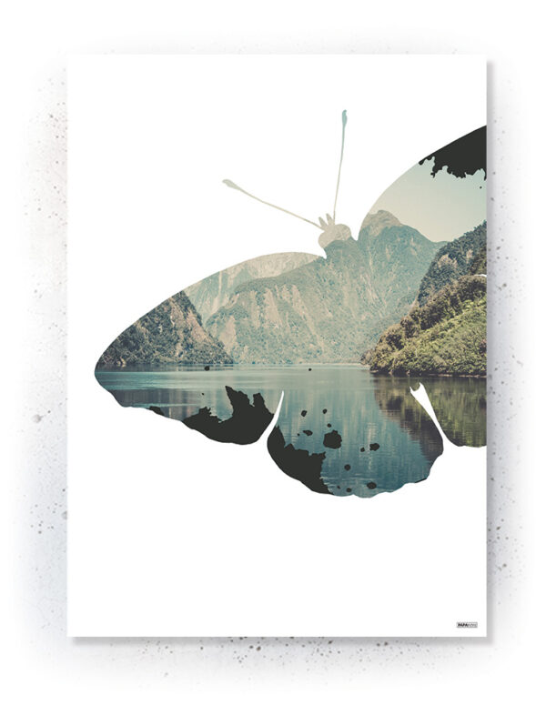 Plakat / Canvas / Akustik: Sommerfugl (Nature) Plakater > Natur plakater