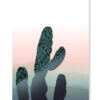 Plakat / canvas / akustik: Kaktus (BRIGHT) Artworks > Beautiful