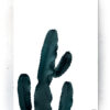 Plakat / Canvas / Akustik: Kaktus (Thoughts) Artworks > Populær