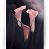 Plakat / canvas / akustik: Callas (MIDSOMMER) Artworks > Beautiful