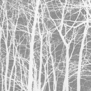 Cherrytree grey af Kirsten Stigsgaard Illux Art shop - Fotokunst - Kirsten Stigsgaard