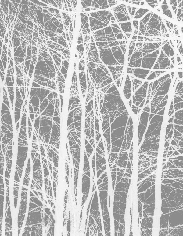 Cherrytree grey af Kirsten Stigsgaard Illux Art shop - Fotokunst - Kirsten Stigsgaard
