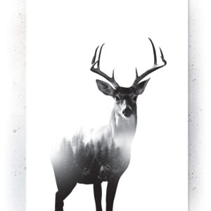 Plakat / Canvas / Akustik: Hjort 3 (Animals) Plakater > Sort / Hvid plakater