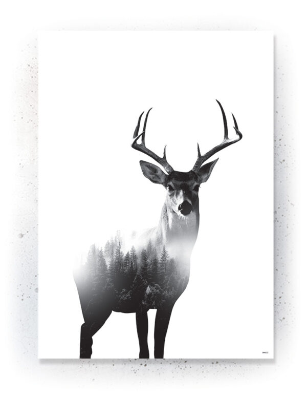 Plakat / Canvas / Akustik: Hjort 3 (Animals) Plakater > Sort / Hvid plakater