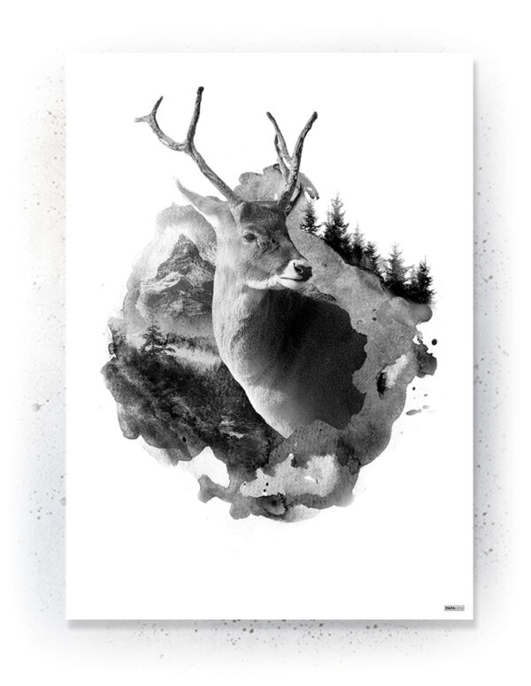 Plakat / Canvas / Akustik: Hjort (Animals) Plakater > Sort / Hvid plakater