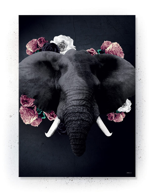 Plakat / canvas / akustik: Elefant (Desire) Artworks > Populær