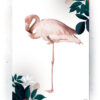 Plakat / canvas / akustik: Flamingo (Earth) Artworks > Populær