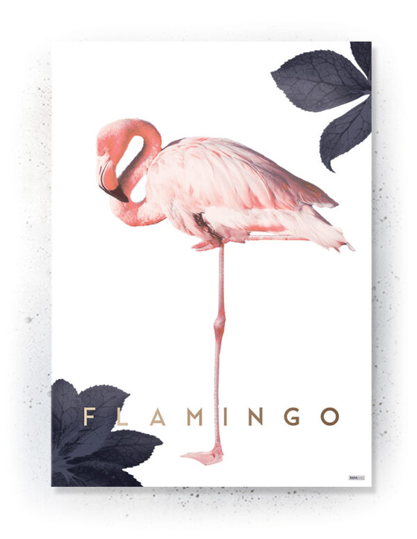 Plakat / canvas / akustik: Flamingo (MIDSOMMER) Artworks > Populær