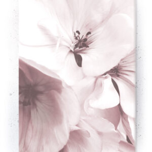 Plakat / Canvas / Akustik: Blomster (Flush Pink) Artworks > Populær