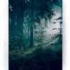 Plakat / canvas / akustik: Skov (Earth) Artworks > Populær
