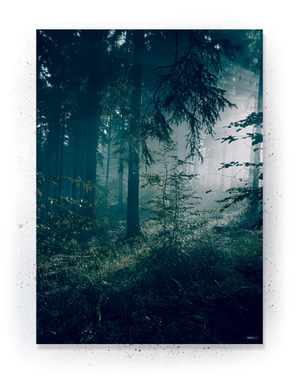Plakat / canvas / akustik: Skov (Earth) Artworks > Populær