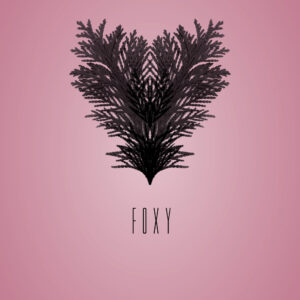 Foxy af Ten Valleys Illux Art shop - Grafisk kunst - Ten Valleys
