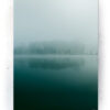 Plakat / Canvas / Akustik: Frosen sø (Withered) Plakater > Natur plakater