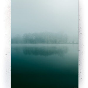 Plakat / Canvas / Akustik: Frosen sø (Withered) Plakater > Natur plakater