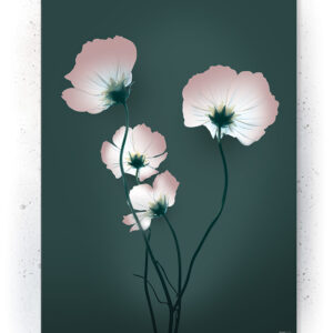Plakater / Canvas / Akustik: Grøn valmue blomst (Eclectic) Artworks > Nyheder