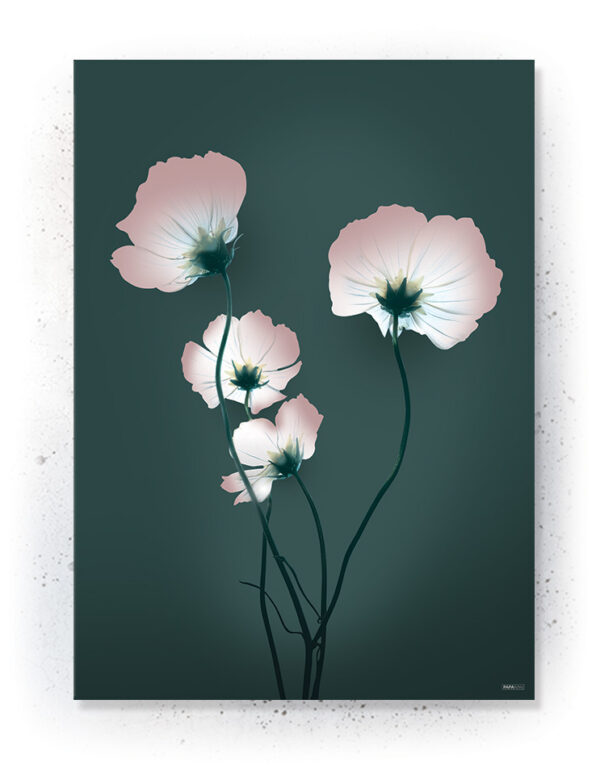 Plakater / Canvas / Akustik: Grøn valmue blomst (Eclectic) Artworks > Nyheder