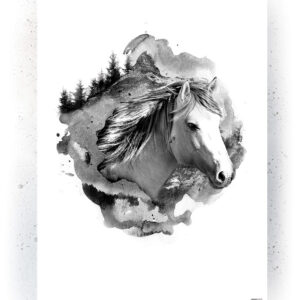 Plakat / Canvas / Akustik: Hest (Animals) Plakater > Sort / Hvid plakater