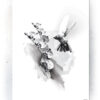 Plakat / Canvas / Akustik: Kolibri og orkide (Black) Artworks > Populær