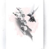 Plakat / Canvas / Akustik: Kolibri & Orkide (Flush Pink) Artworks > Populær