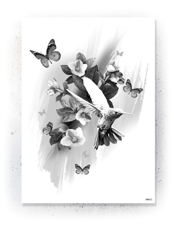 Plakat / Canvas / Akustik: Kolibri (Black) Plakater > Sort / Hvid plakater