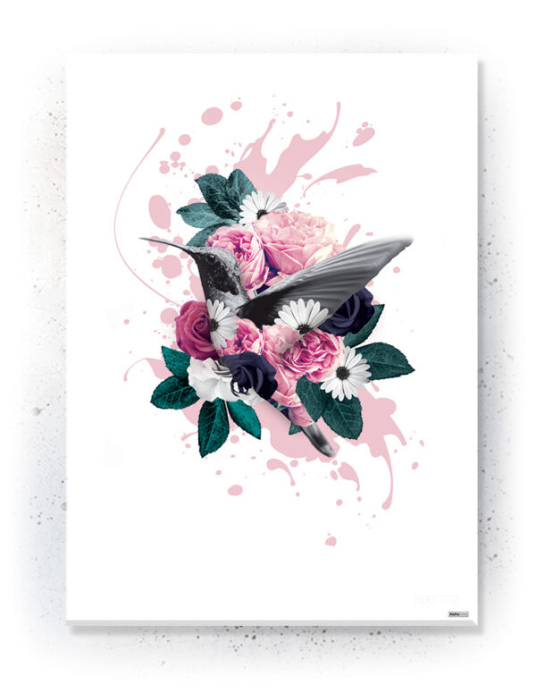 Plakat / Canvas / Akustik: Kolibri (Floral) Artworks > Beautiful