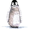 Pingu af MyRo Graphics Illux Art shop - Kids Art - MyRo Graphics