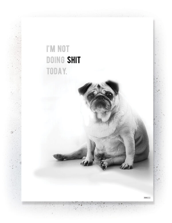 Plakat / Canvas / Akustik: I'm not doing shit today! (Animals) Plakater > Sort / Hvid plakater