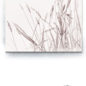 Plakat / canvas / akustik: In the tall grass (Bright) Artworks > Beautiful