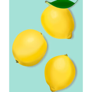 Lemon af Pluma Posters Illux Art shop - Illux Art nyheder - Grafisk kunst - Pluma Posters