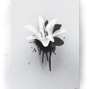 Plakat / Canvas / Akustik: Lilje (Black) Plakater > Sort / Hvid plakater