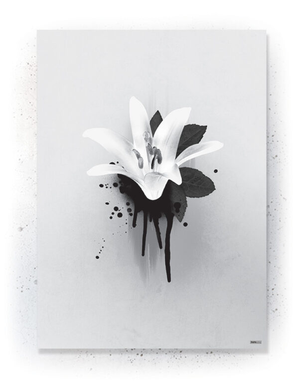 Plakat / Canvas / Akustik: Lilje (Black) Plakater > Sort / Hvid plakater