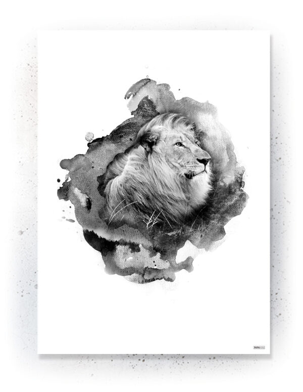 Plakat / Canvas / Akustik: Løve