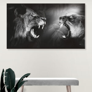 Plakat / Canvas / Akustik: Lions / Løve (r) Monochrome (Animals / Panorama) Plakater > Natur plakater
