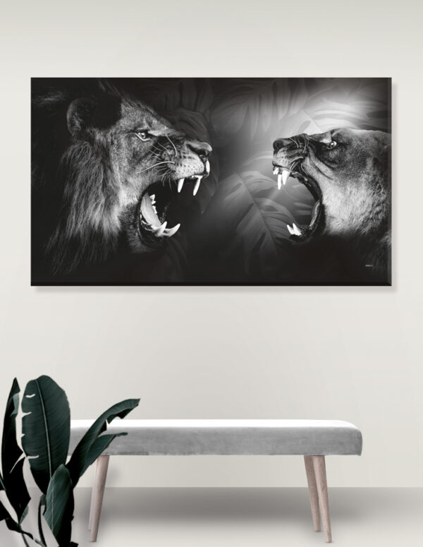Plakat / Canvas / Akustik: Lions / Løve (r) Monochrome (Animals / Panorama) Plakater > Natur plakater