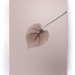Plakat / Canvas / Akustik: Lonely Leaf (Withered) Plakater > Natur plakater