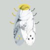 Marbel moth af MyRo Graphics Illux Art shop - Grafisk kunst - MyRo Graphics